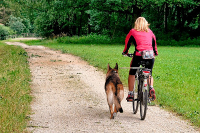 Fahrrad-Freilaufleine Walky Dog Plus